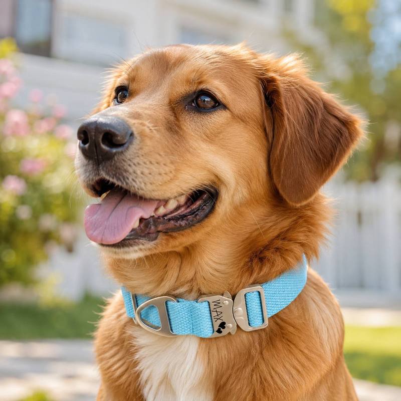 Custom Tactical Dog Collar - F - огляд і ціна Outdoor Adventure Names