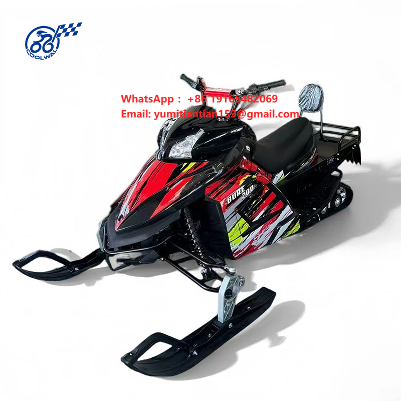 Electric Snowmobile Double Sea - огляд і ціна Outdoor Adventure Recreation